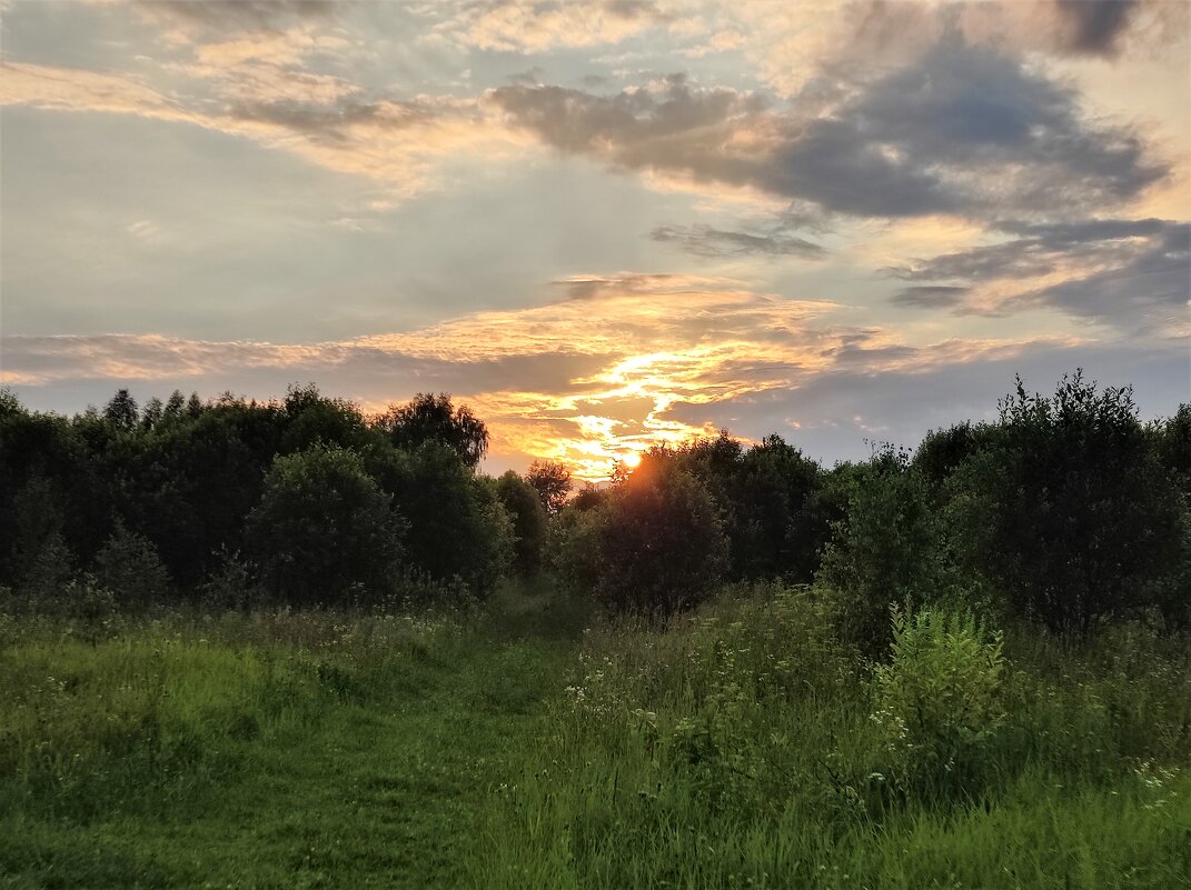 В закатном блеске пламенеет снова лето - Елен@Ёлочка К.Е.Т.