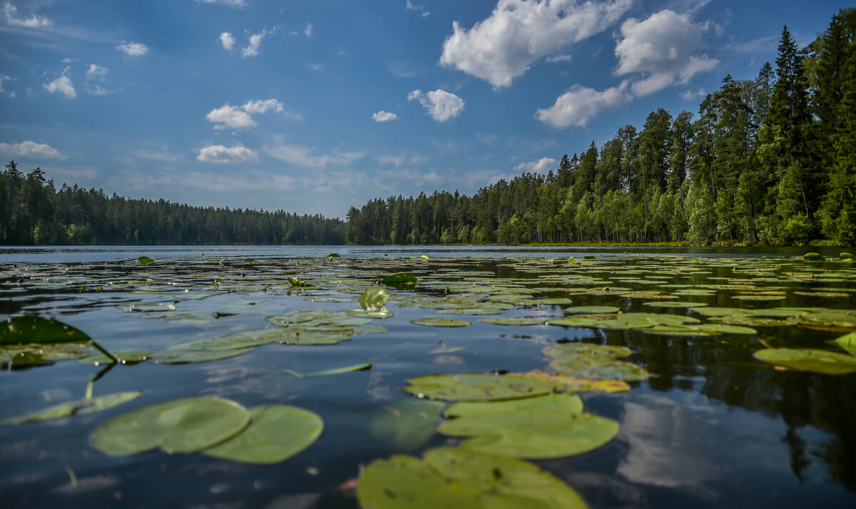 Оз. Долгое.Псковская .обл - Михаил. М.