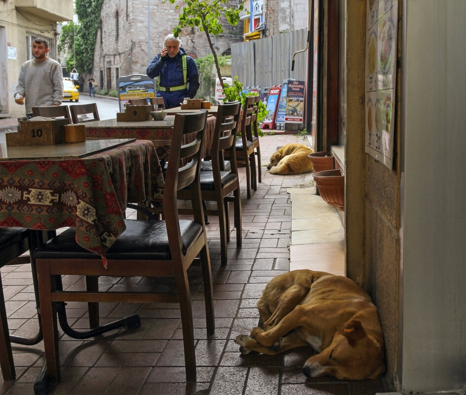 Стамбул - skijumper Иванов