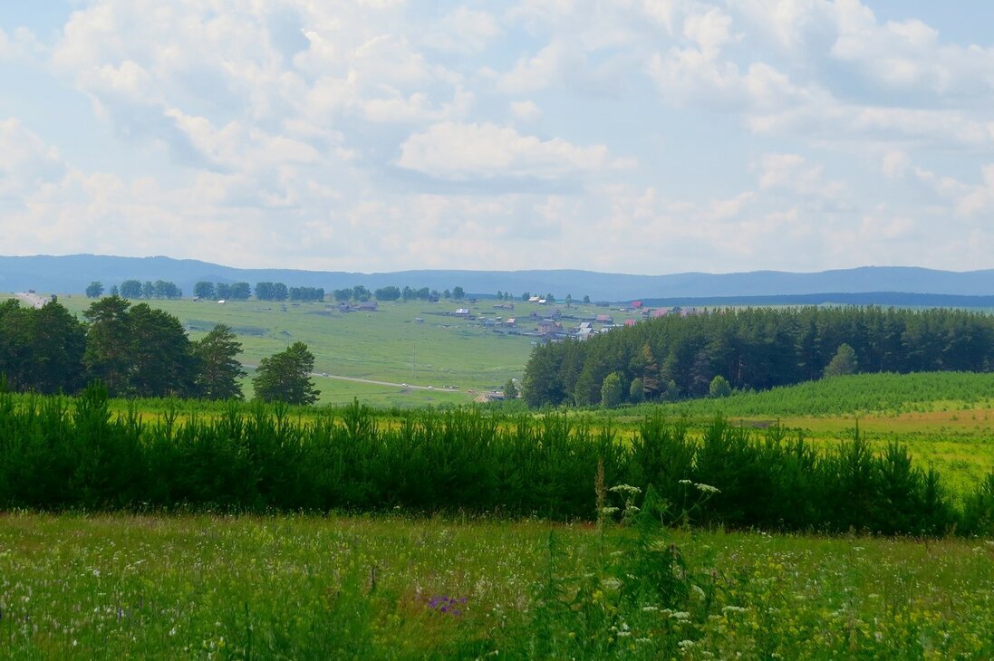 Вдоль дороги - Вера Щукина