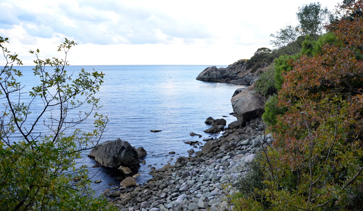 Южный берег Крыма. Алупка. Воронцовский парк - Ольга Кирсанова