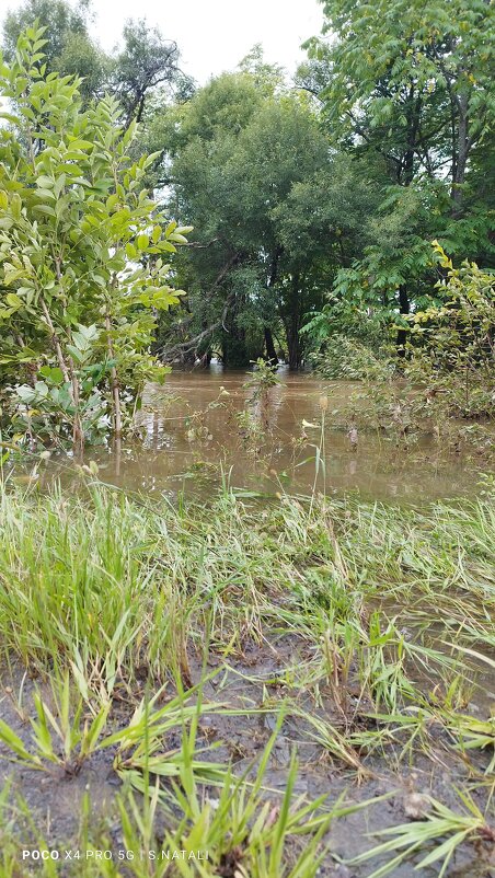 Подтопление - Наталья Штанулина