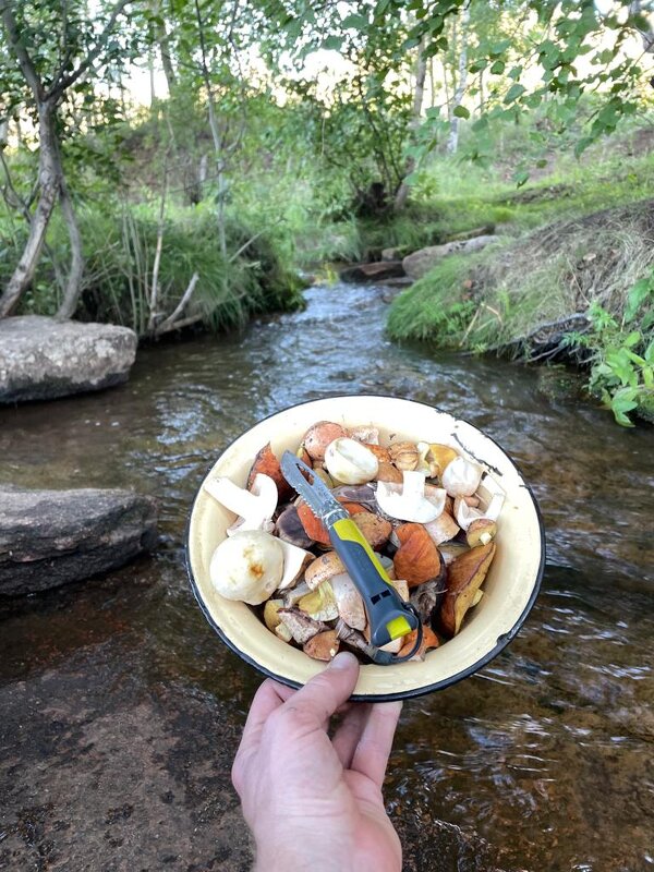 Кушать подано... - Георгиевич Кушать подано... - Георгиевич