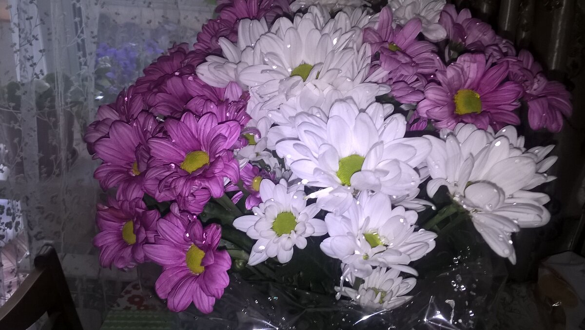 Букет хризантем - Елена Семигина Букет хризантем - Елена Семигина