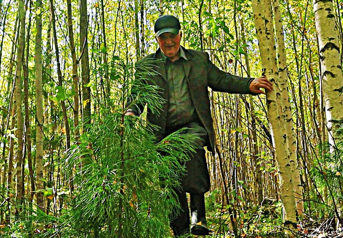 Осень...За грибами - в березняки! - Владимир 