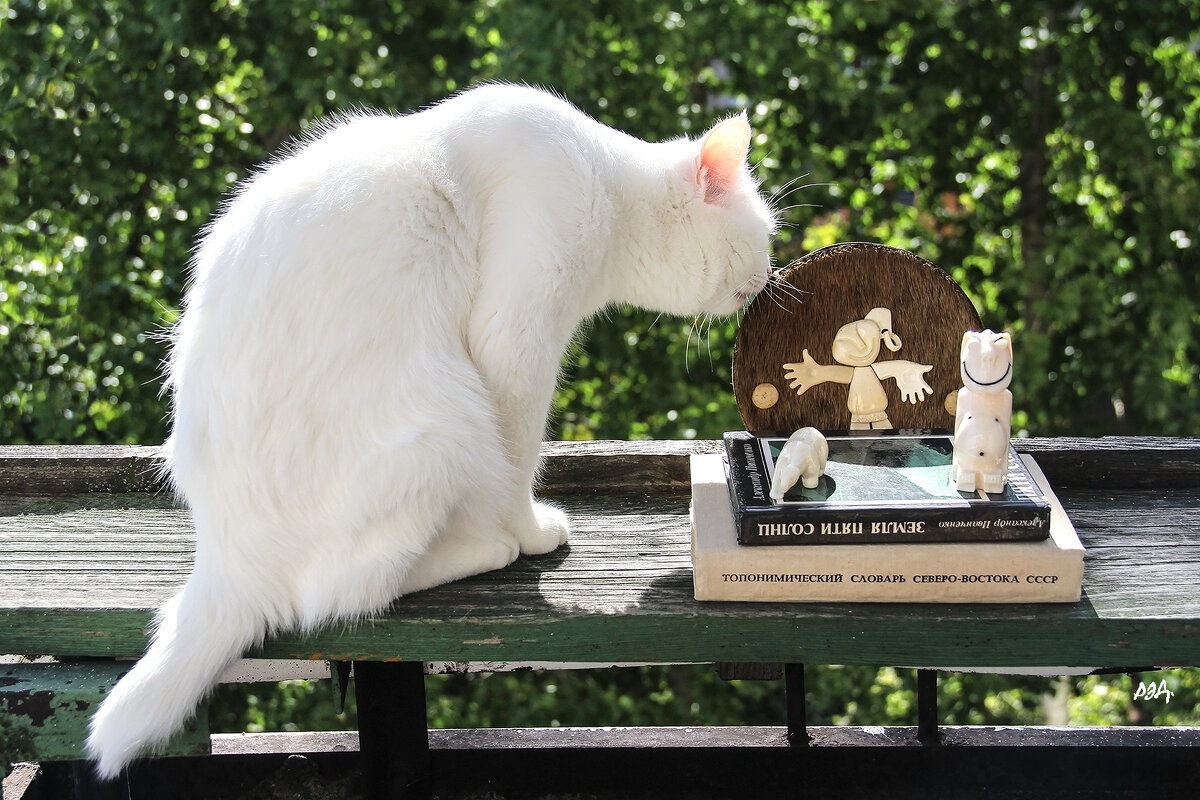 *** - Роланд Дубровский *** - Роланд Дубровский