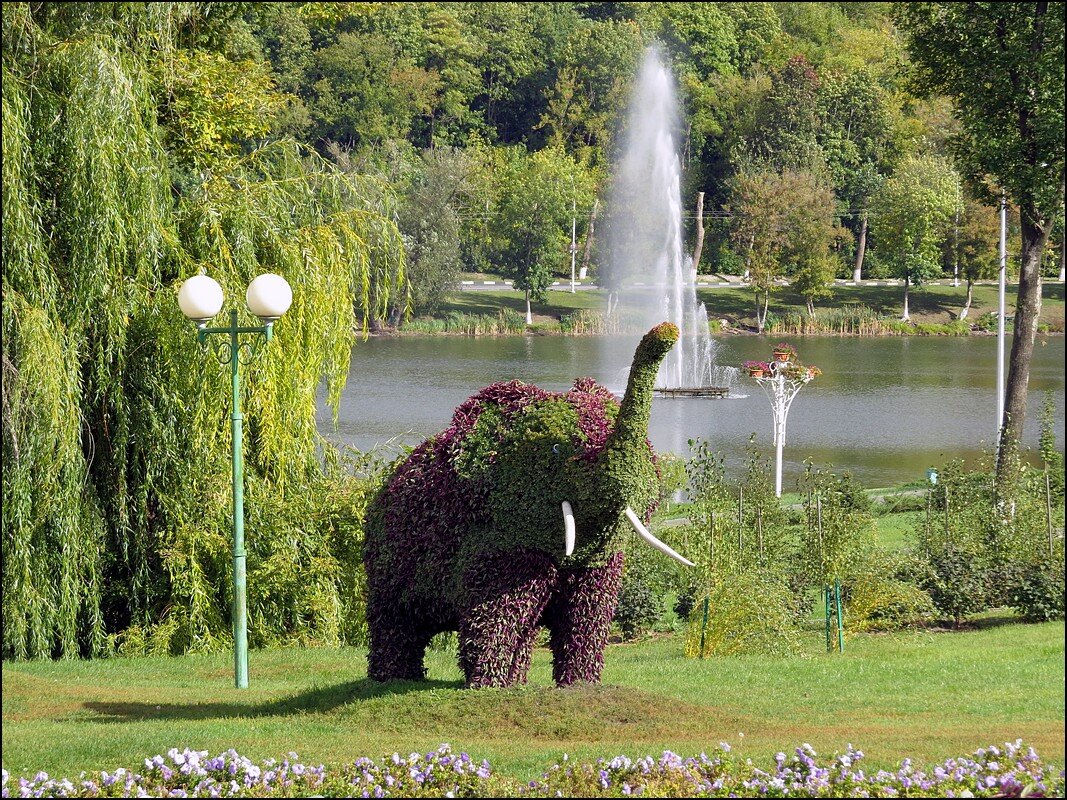 сегодня отмечают Всемирный день защиты слонов - Сеня Белгородский сегодня отмечают Всемирный день защиты слонов - Сеня Белгородский