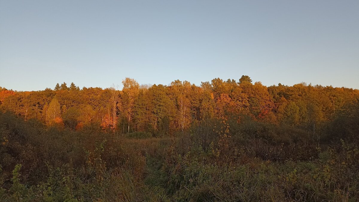 За городом - Олег Денисов