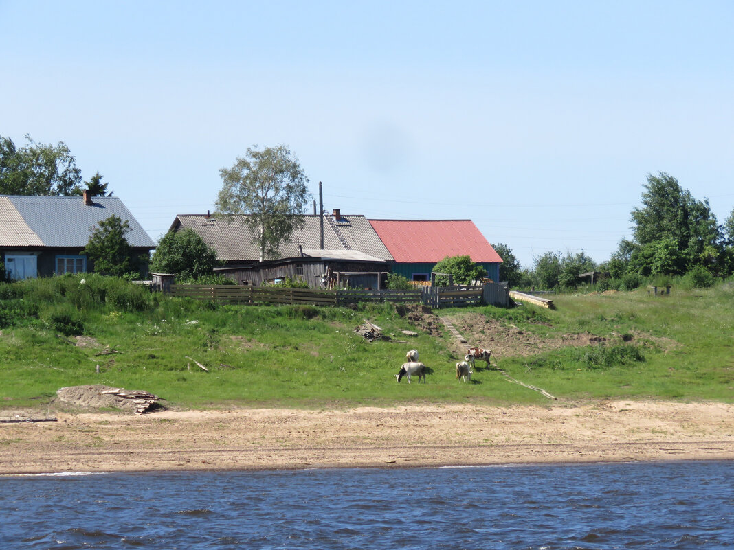 Село на берегу Енисея - ИРЭН@ .