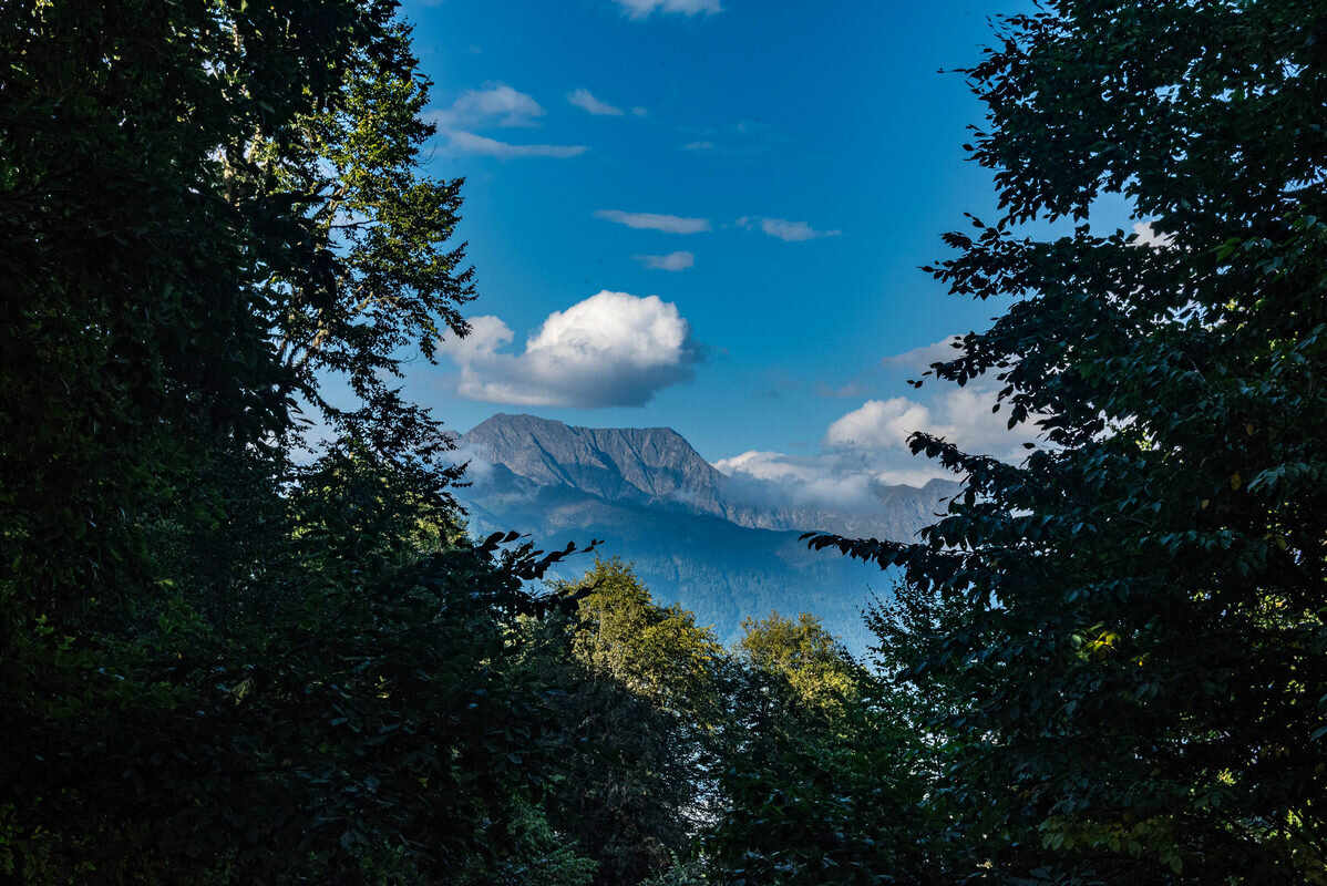 *** - Дмитрий Лупандин