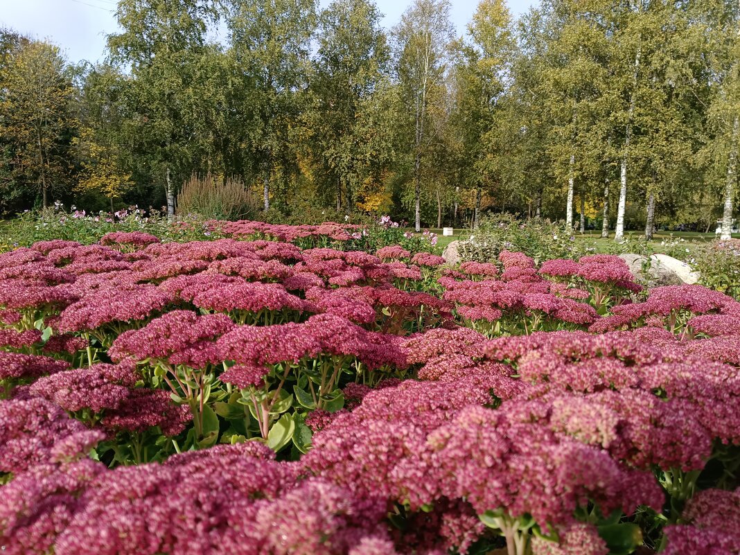 "Красный" октябрь - Мария Васильева