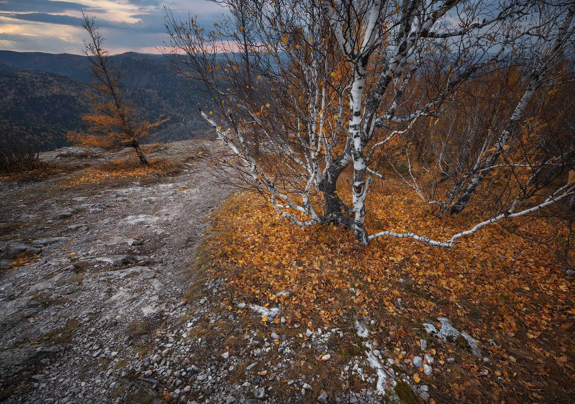 * - Александр Иванов