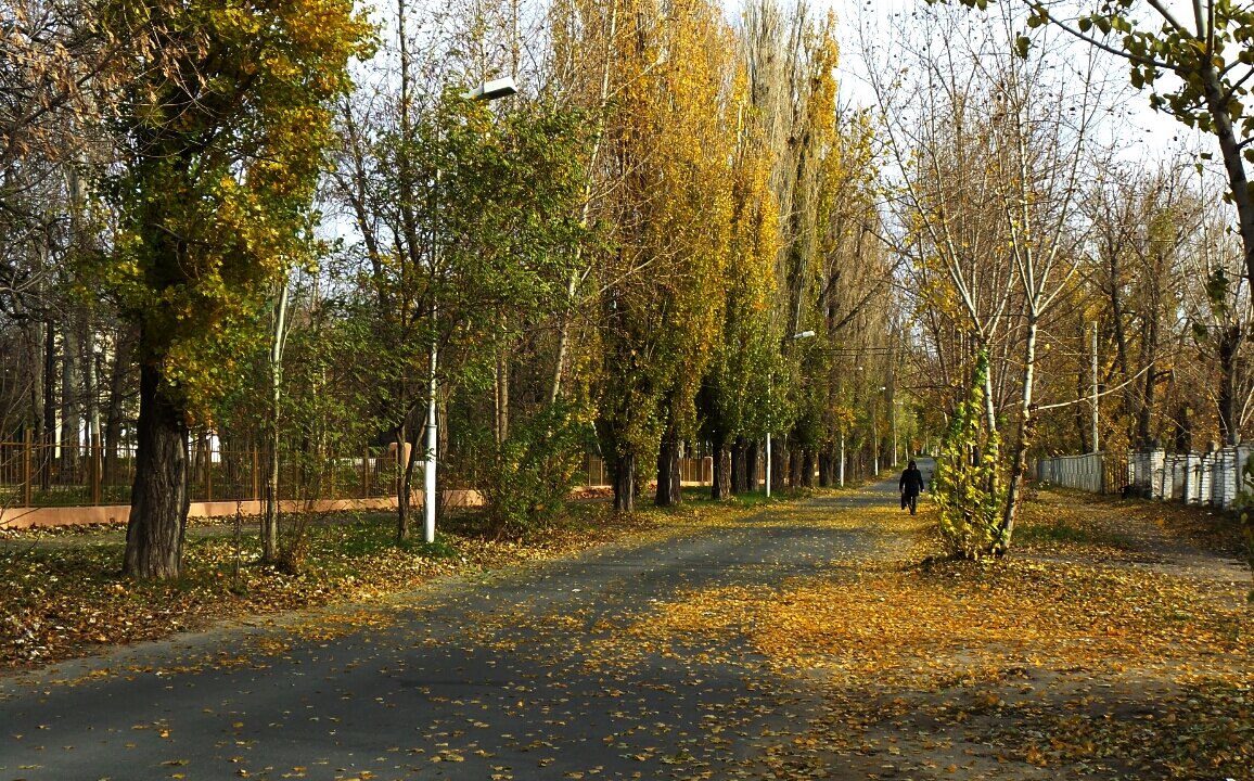 Осень. Утренний пейзаж. - Юрий ГУКОВЪ