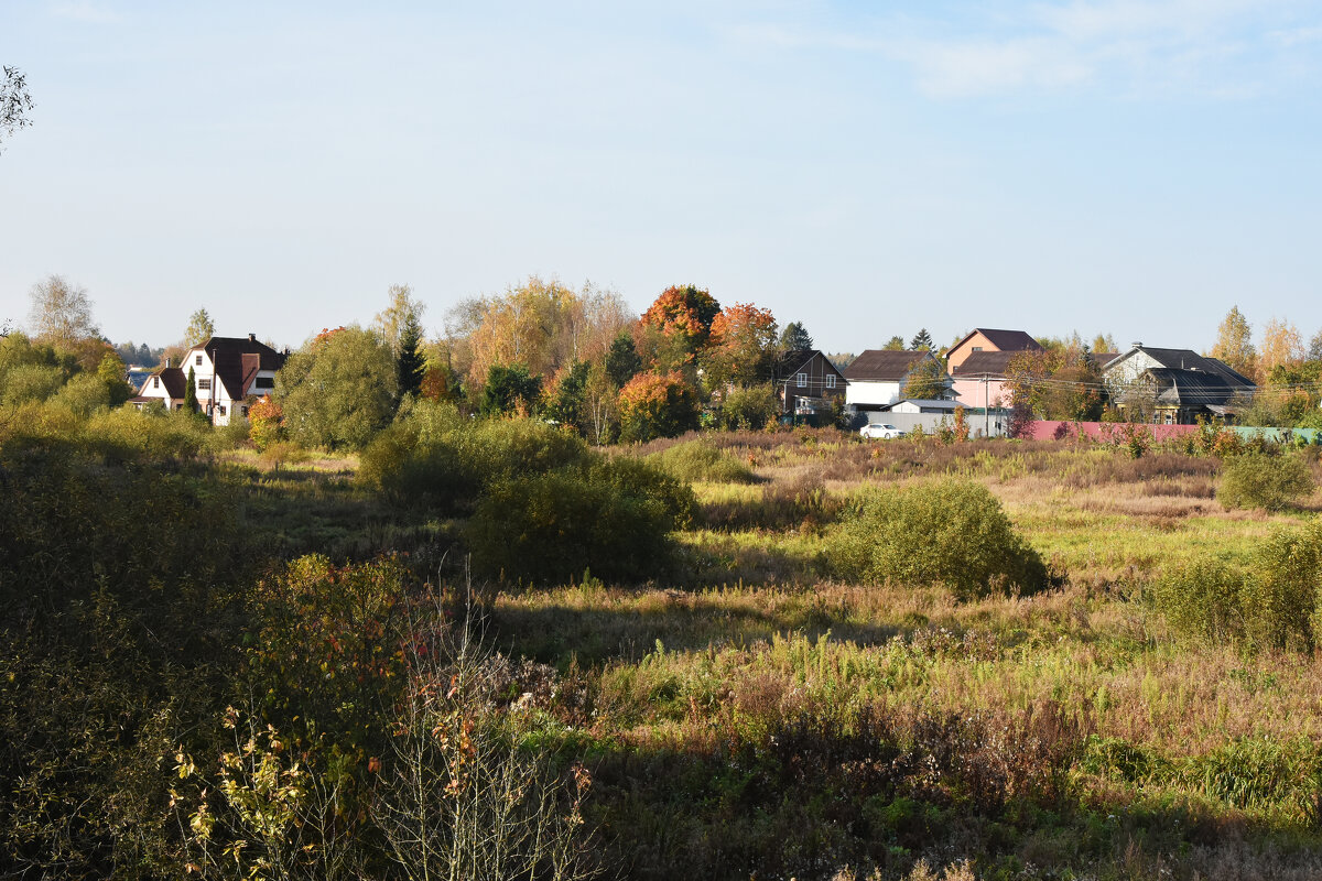 Московская область, городской округ Пушкинский, деревня Алёшино. - Наташа *****