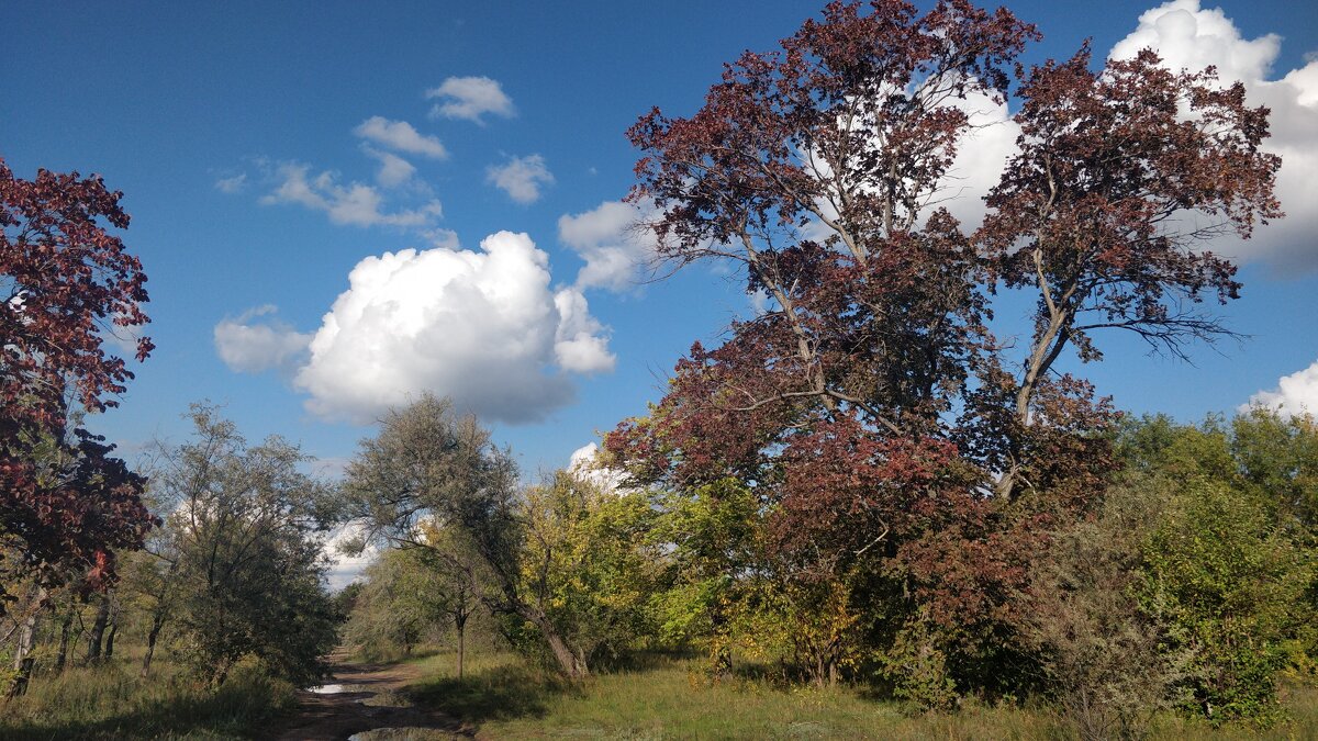 Сентябрь.Ноктюрн. - Андрей Хлопонин Сентябрь.Ноктюрн. - Андрей Хлопонин