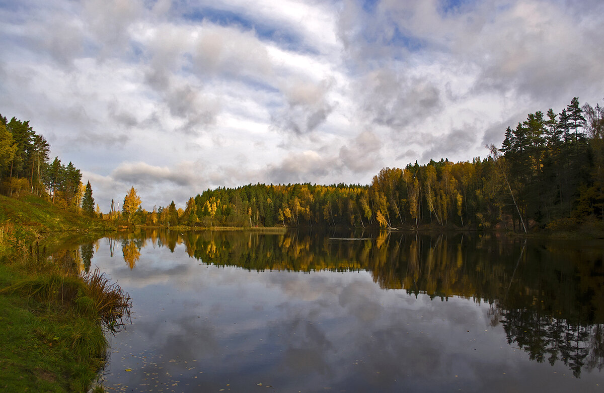 В зеркале - Регина 