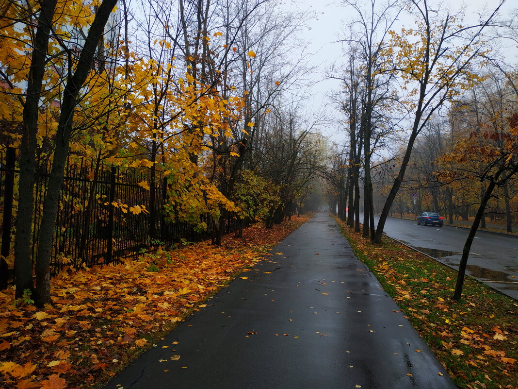 Октябрь в городе - Андрей Лукьянов