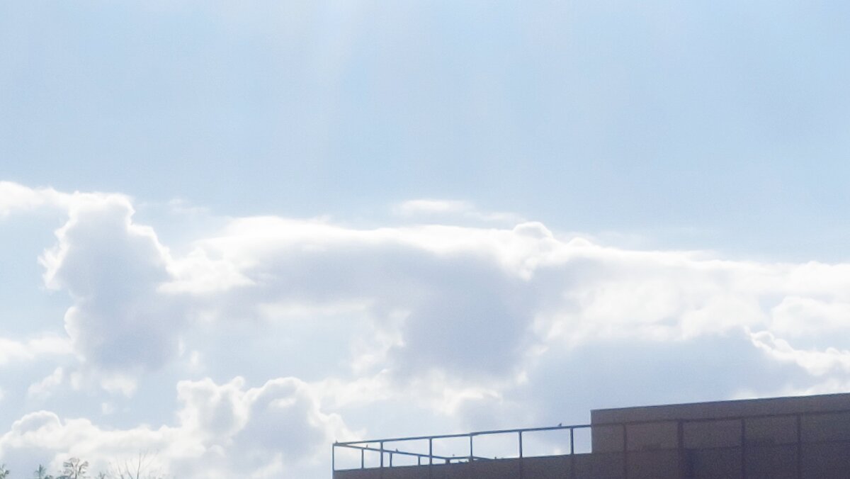 ВСФ (15) - СТРЕН 