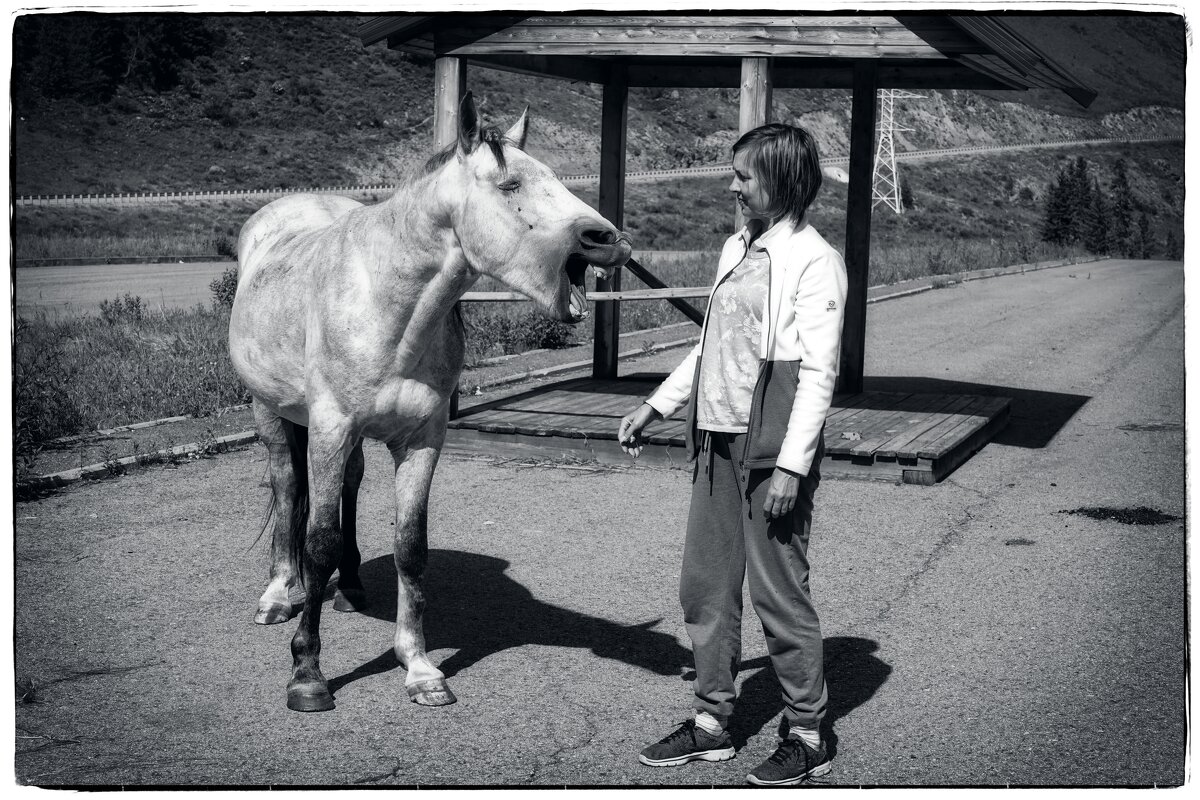 Алтай зовёт - Сергей Капицин