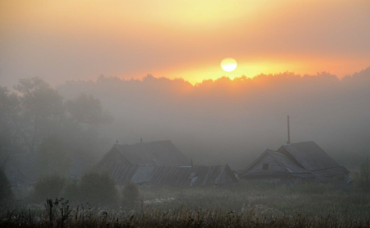 *** - Ирина. Лузгина