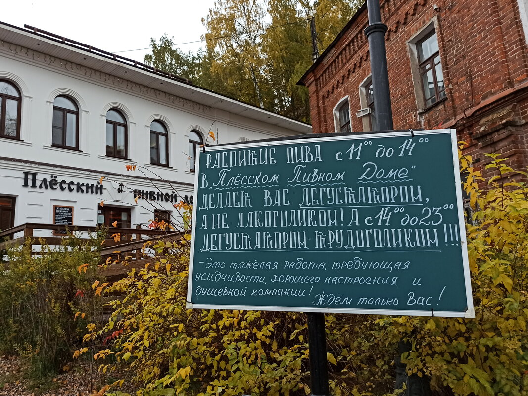 Не проходите мимо, если вдруг занесёт судьбинушка в Плёс. - svk *