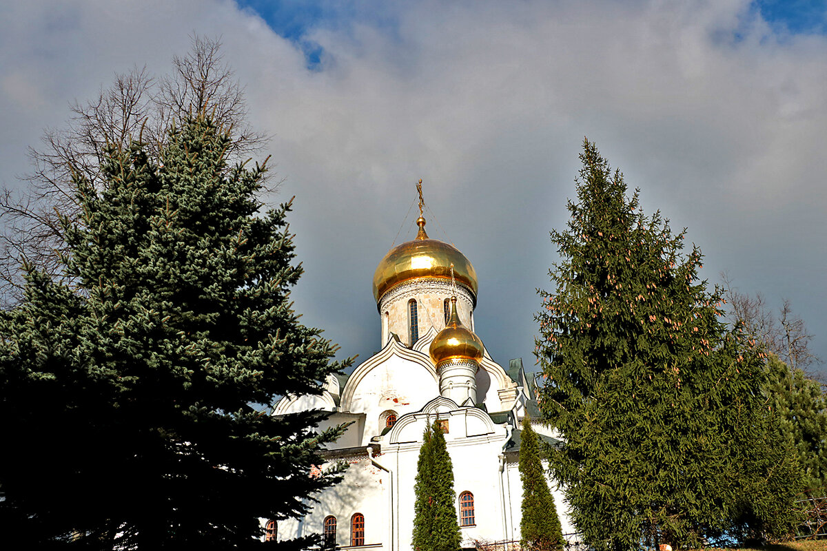 В Саввино-Сторожевском монастыре - Светлана 