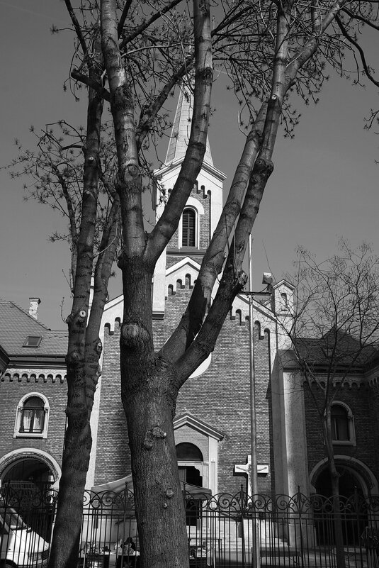 Сквозь тернии..... - M Marikfoto