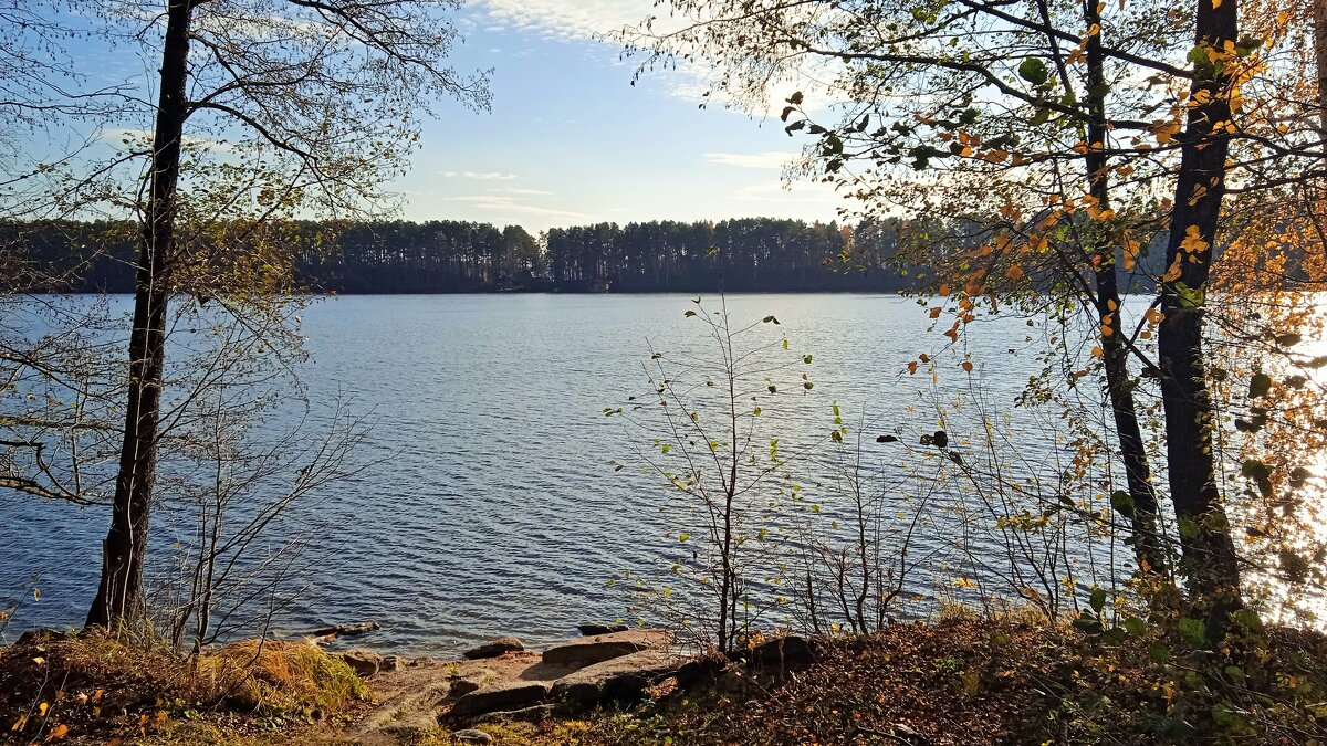 Октябрь 2023 - Oksana ***