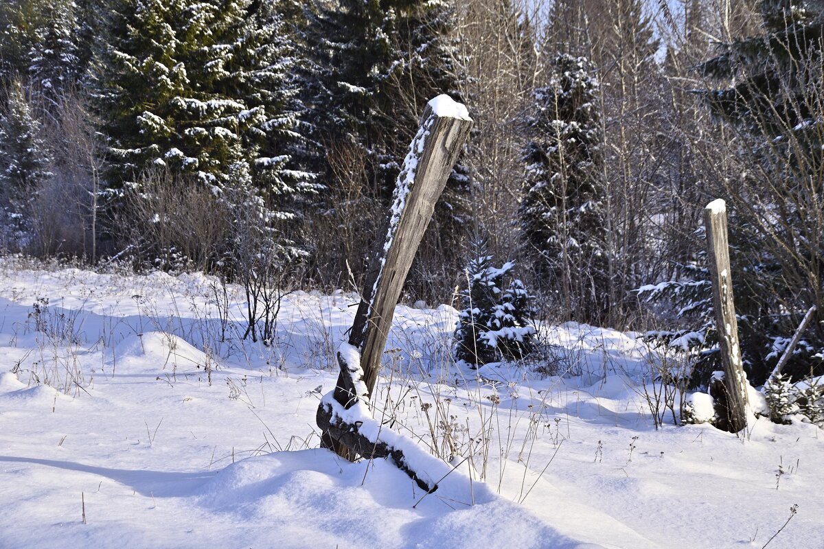 - - Владимир Мигонькин