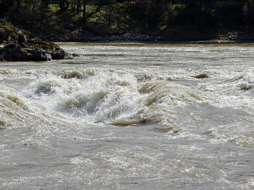 Весенние пороги - Павел Трунцев Весенние пороги - Павел Трунцев