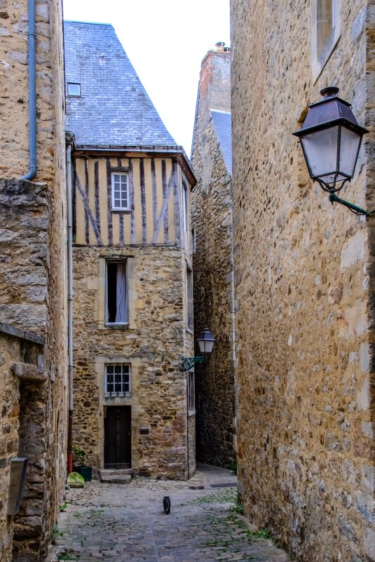 Переулок средневекового города Ле Ман - Георгий А