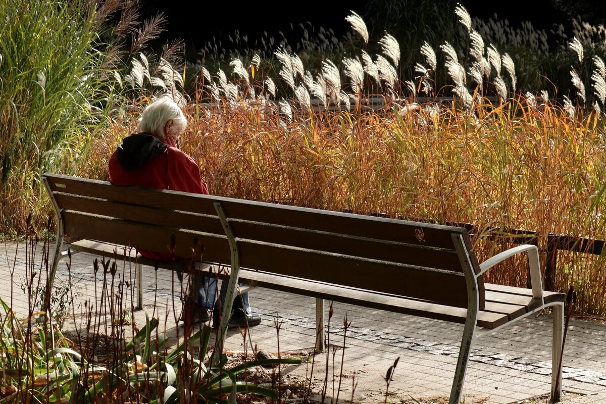 Седые - Юрий. Шмаков
