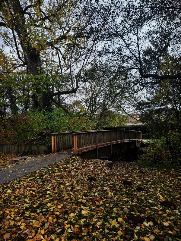 Мост через Золотй ручей - Сергей Порфирьев