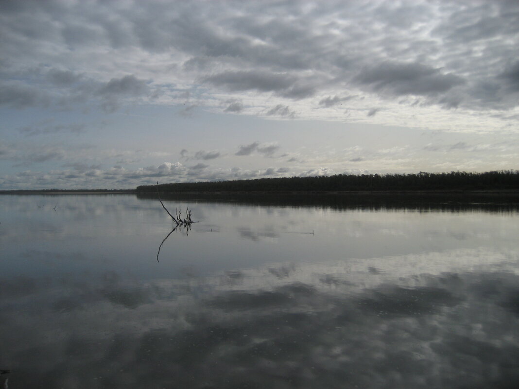 Хмурое утро - Anna Ivanova