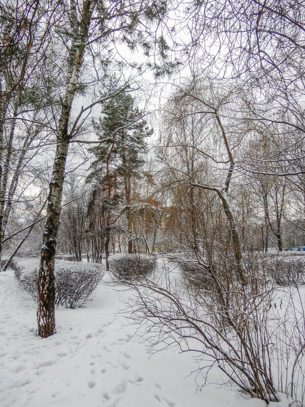 заснеженный бульвар - Сергей Лындин