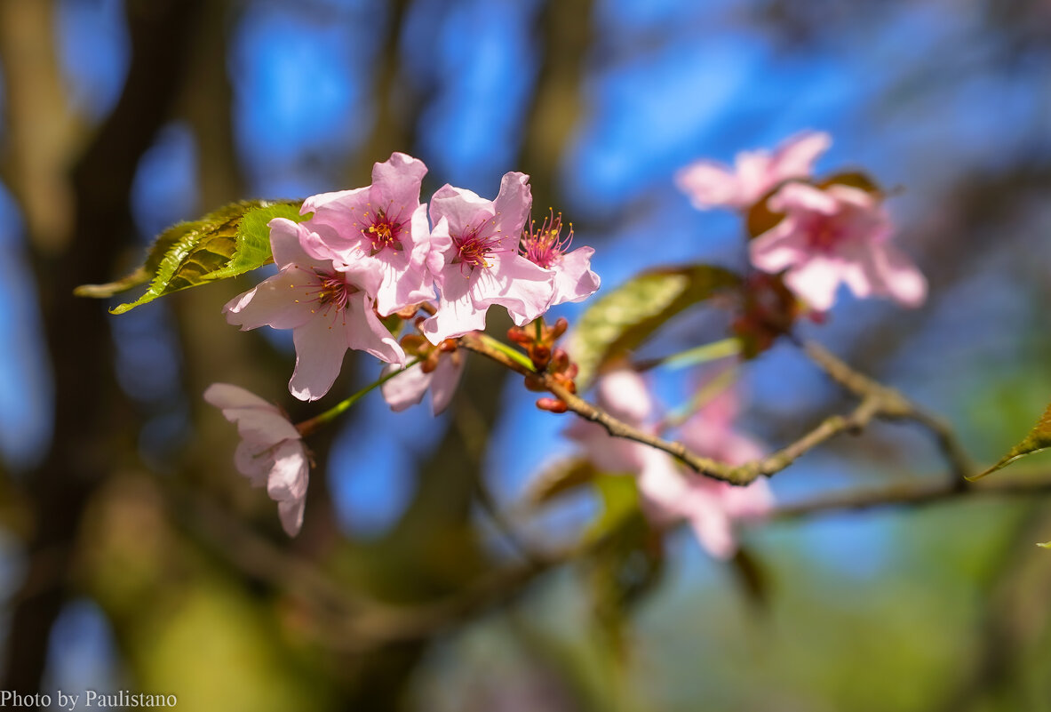 Пробуждение... - Владимир Жданов