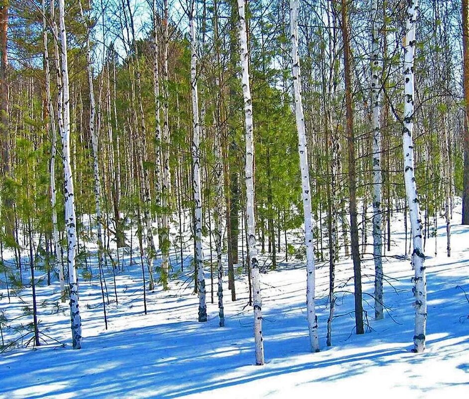 Весна света...Березкины песни! - Владимир 