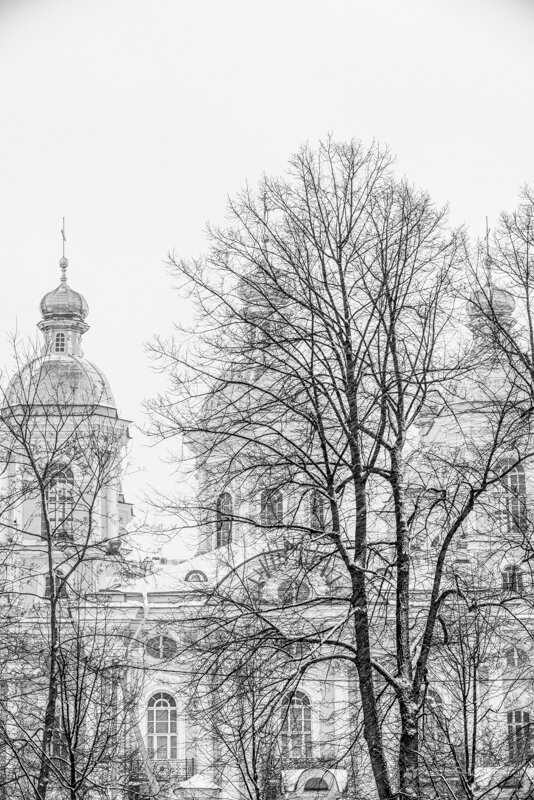 **** - Алексей Соловьев **** - Алексей Соловьев