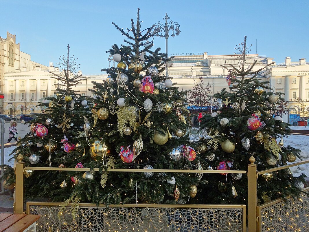 Новогодняя Москва - Лидия Бусурина