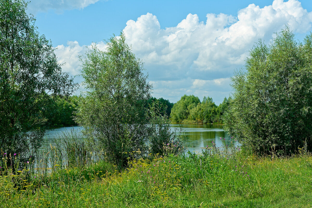 Озера, реки и водоемы Алтая и Алтайского края - Дмитрий Конев Озера, реки и водоемы Алтая и Алтайского края - Дмитрий Конев