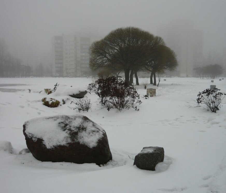 В парке - Вера Щукина