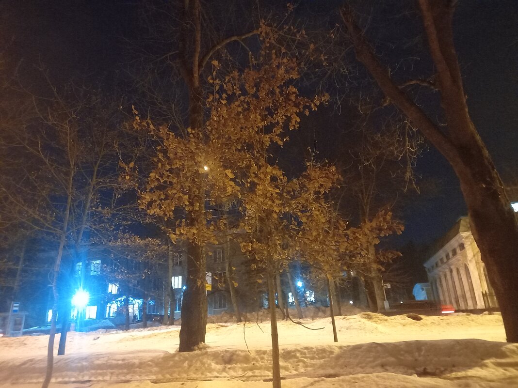 Дуб - Сапсан 