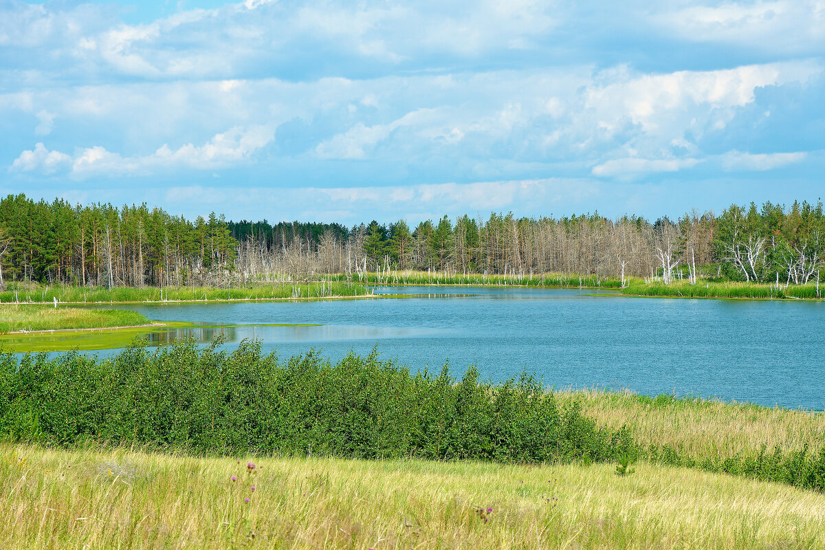 Про озёра - Дмитрий Конев