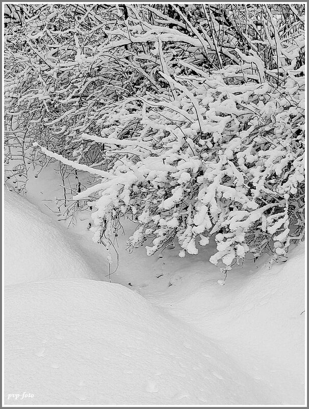 Белым снегом замело... - Владимир Попов