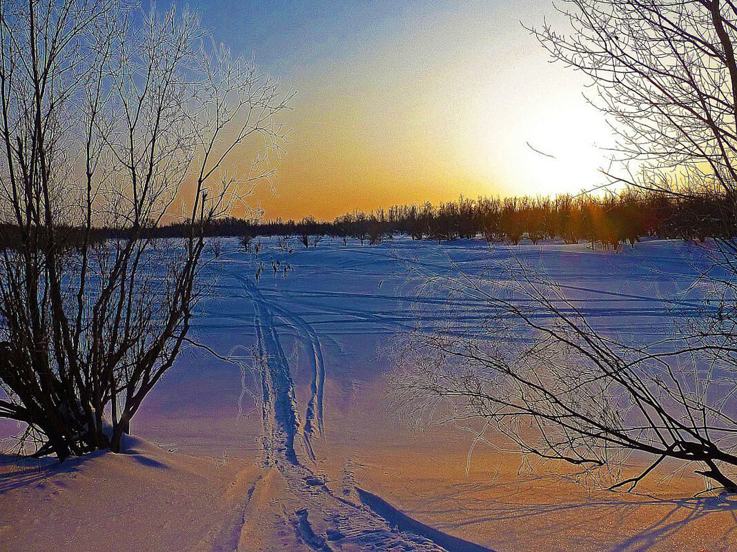 Январь...Морозный закат на Юганской Оби. - Владимир 