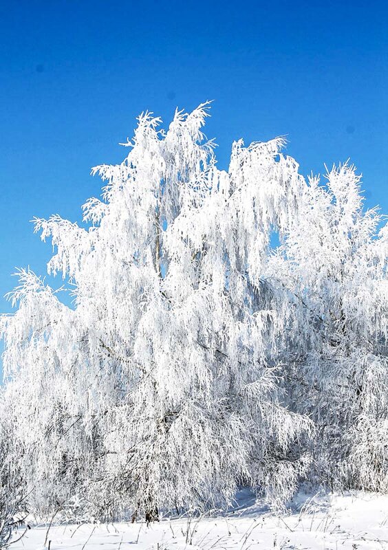 Волшебница - зима - Людмила Павловна Крышковец
