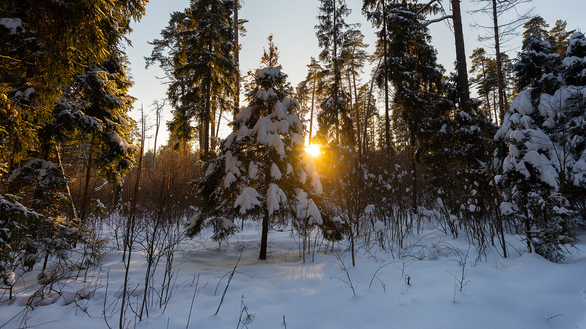Cолнечный зимний день. - Владимир Лазарев Cолнечный зимний день. - Владимир Лазарев