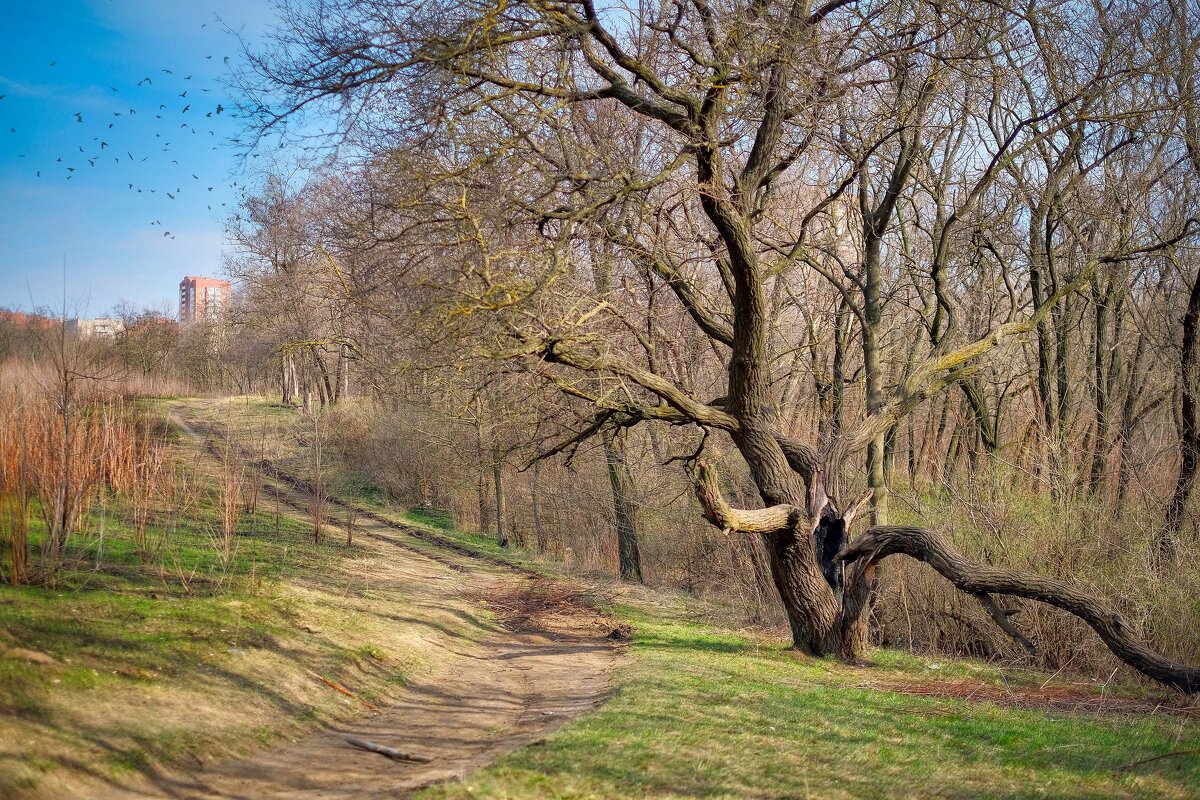 Ростовские зарисовки - Александр Гапоненко Ростовские зарисовки - Александр Гапоненко