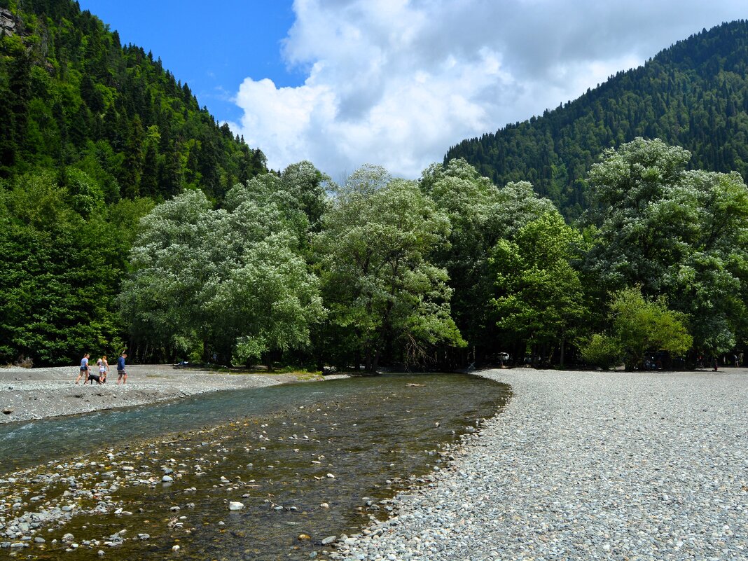 Рица. Река Лашипсе. - Пётр Чернега Рица. Река Лашипсе. - Пётр Чернега