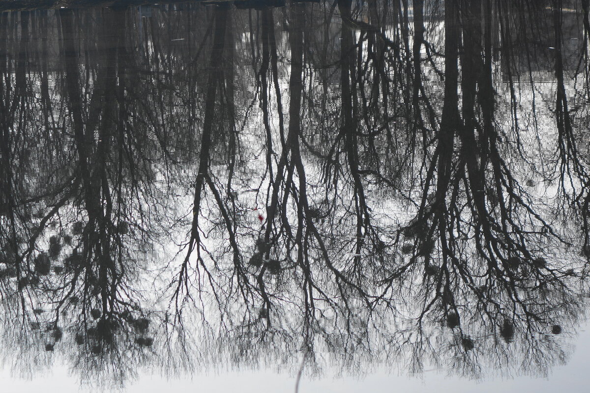 Февральские зарисовки - Рита Симонова Февральские зарисовки - Рита Симонова